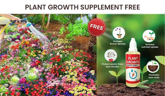 Buy Varieties of Flower Seeds (Pack of 100 Multiple Seed) And Get Plant Growth Supplement Free
